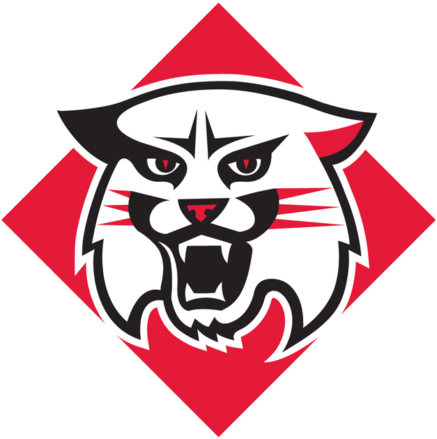 Davidson Wildcats 2010-Pres Primary Logo iron on paper